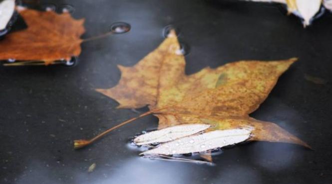 cum va fi vremea in urmatoarele doua saptamani prognoza meteo pana 26 octombrie