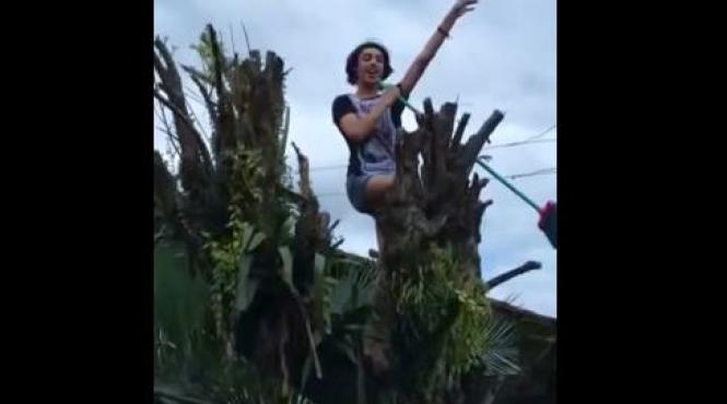 video un tanar il imita pe bruno mars din varful copacului ce i a intrerupt prestatia electrizanta