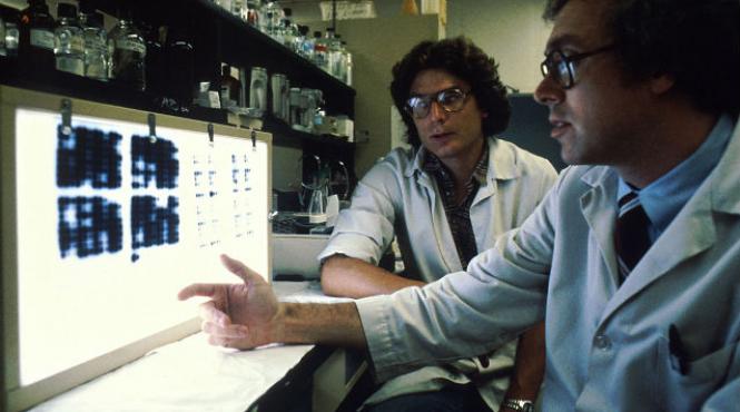 agentia internationala pentru energie atomica se implica in lupta contra ebola