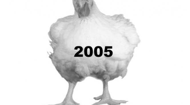 tii ce mananci transformarea uluitoare a puilor in doar 50 de ani