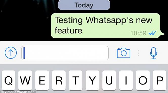 whatsapp read recipt citire mesaje expediate