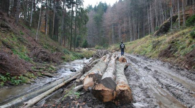 dezastre naturale amenzi simbolice