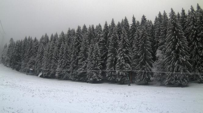 ninge la munte imagini live de pe partiile din romania pe webcam jurnalul ro