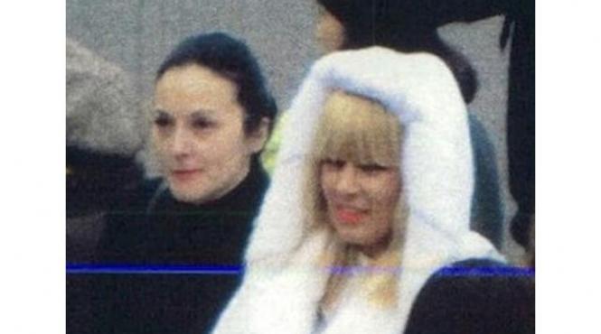 atributiile alinei bica la ministerul justitiei cand aproba circuitul spagii uriase la retrocedari