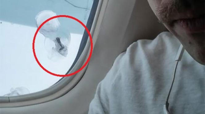 la un urub de catastrofa aviatica un tanar n a spus nimic tot zborul sa nu se panicheze ceilal i pasageri