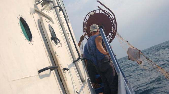 un calcan i o turbotiera