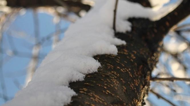 vremea se incalzeste in urmatoarele zile prognoza meteo pana in 14 decembrie