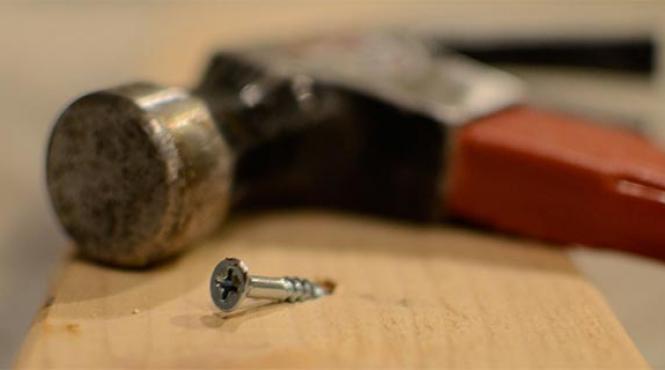 partidul prostilor suntem prosti dar multi bazati va pe noi