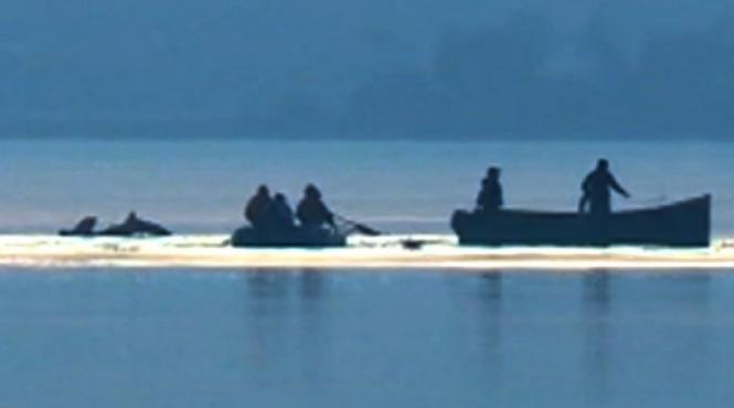 scafandrii fortelor navale au recuperat co pilotul elicopterului prabu it in lacul siutghiol barbatul se afla in stop cardio respirator