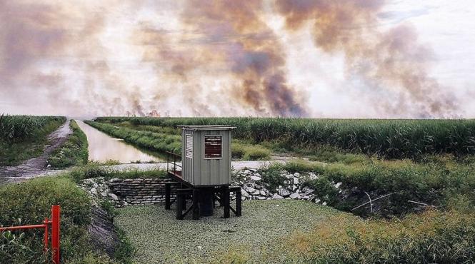 ritual vrajitoresc pe un camp in india ce face un barbat in mijlocul trestiei pentru a si ajuta sotia sa ramana insarcinata video