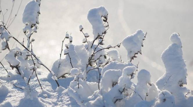 informare meteo de ger si viscol in toata tara pana vineri dimineata