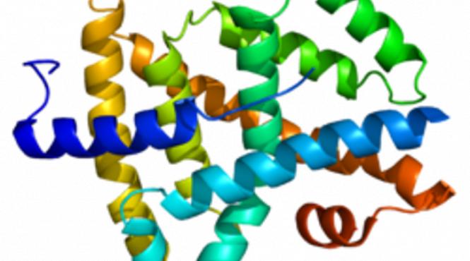 medicamentul care actioneaza ca un aliment imaginar gata de teste pe oameni