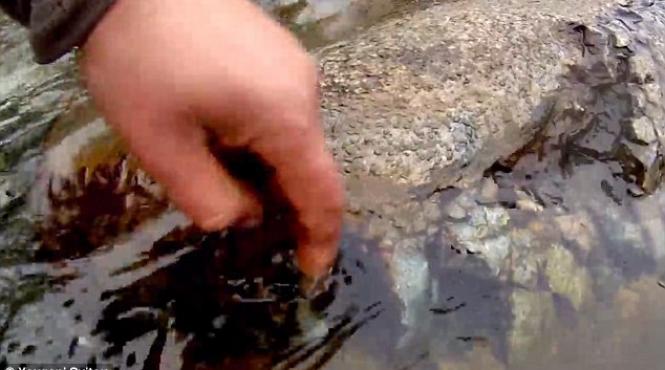 misterul din siberia un pescar rus a pus pe jar savantii din toata lumea este prea frumos ca sa fie adevarat video