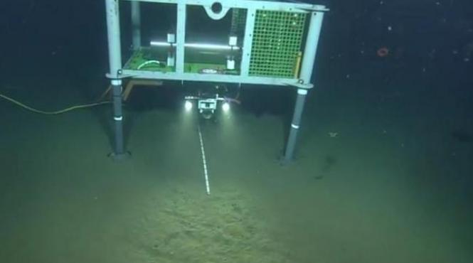 inregistrarea care i a bulversat pe cercetatori ce a descoperit un pusti pe fundul oceanului este un document video unic video