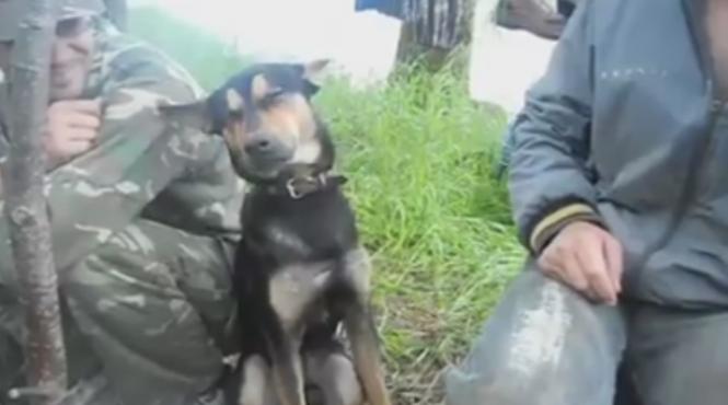 video viralul zilei sta i el cu baie ii gestul unui caine inmoaie milioane de inimi