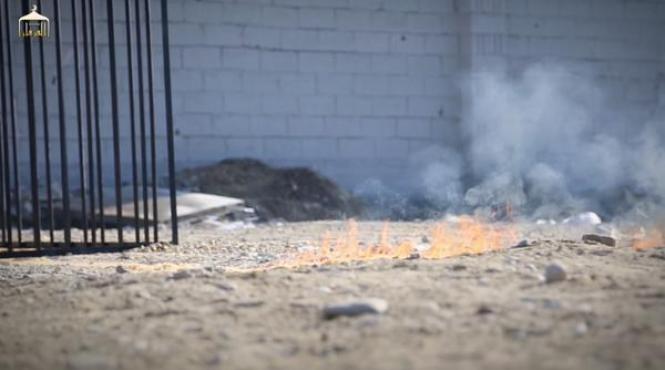 barbarie pilotul iordanian capturat de isis ars de viu video