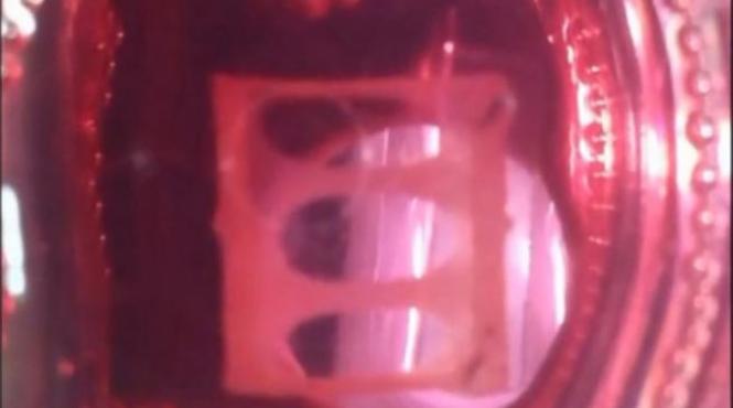 premiera mondiala cercetatorii americani au produs un muschi uman artificial functional