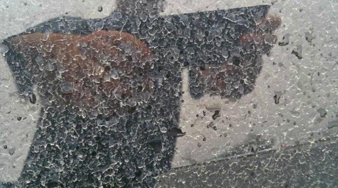 fenomen misterios in washington si oregon experti americani inca nu avem nicio explicatie video