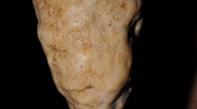 au dezlegat misterul disparitiei civilizatiei maya este mult mai spectaculos decat ne am imaginat vreodata video