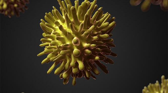 hepatita c devastatoare dar vindecabila