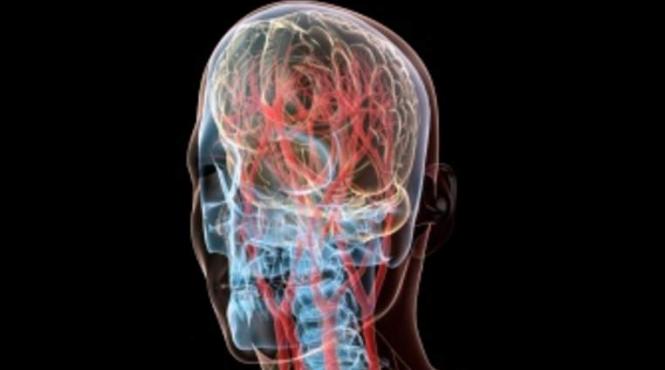 chirurgii pregatesc primul transplant de cap uman in 2017