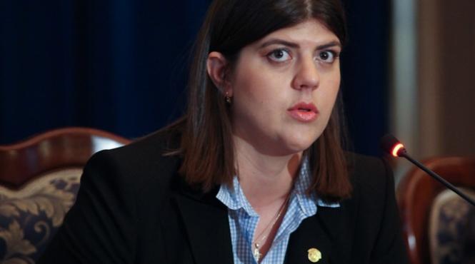 aviz pentru urmarirea penala a lui borbely