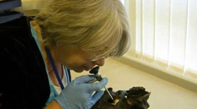 n am mai vazut asa ceva este exraordinar ce au descoperit cercetatorii intr un craniu vechi de 2 600 de ani video