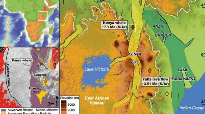 descoperirea care ar putea rescrie istoria omenirii ce au gasit oamenii de stiinta intr un lac din kenya video