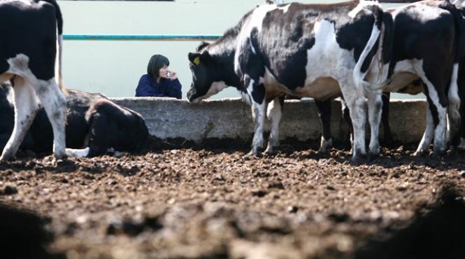 ponta vrea ca producatorii romani sa si vanda produsele la supermarket uri insa nu la preturi umilitoare