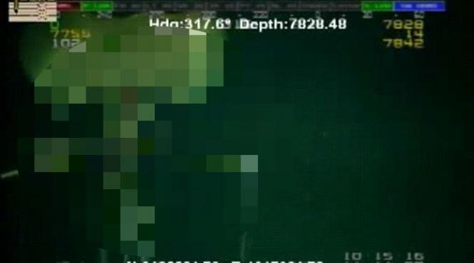 imagini in premiera surprinse in adancurile golfului mexic ce au filmat angajatii unei platforme petroliere video