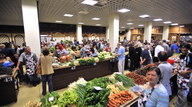 leacurile din piata puterile vindecatoare ale steviei