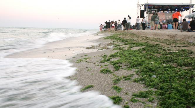 programul evenimentelor de pe litoral cu ocazia minivacantei de 1 mai