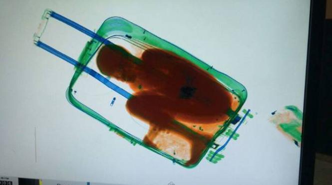 ce au gasit vamesii spanioli intr o vailza imaginea vazuta pe ecranele aparatului de scanare au socat