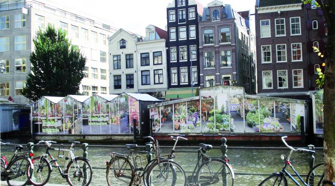 destinatia saptamanii evadare in amsterdam