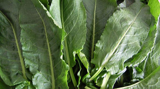 retete stevie in fel si chip