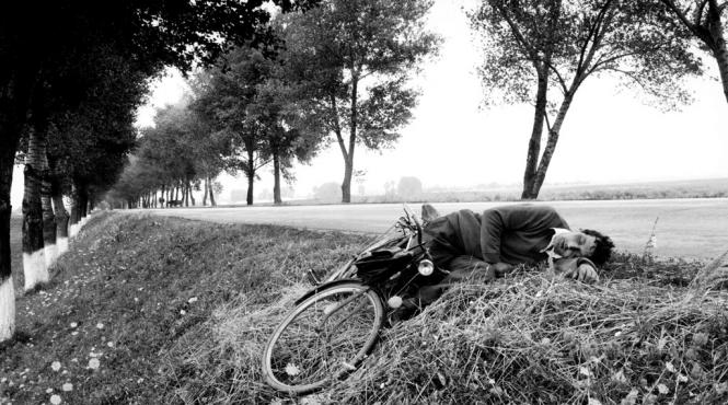 exclusiv un roman intr o fotografie de premiu pulitzer