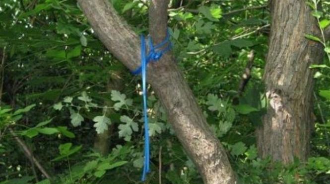 un celebru medic chirurg pediatru din romania gasit spanzurat