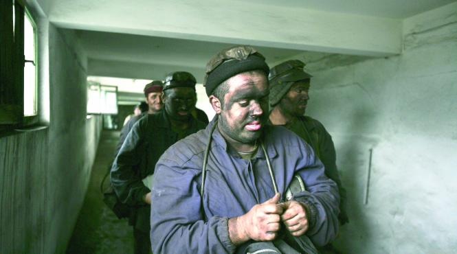 exporturile de material lemnos vor fi insotite de licente de supraveghere