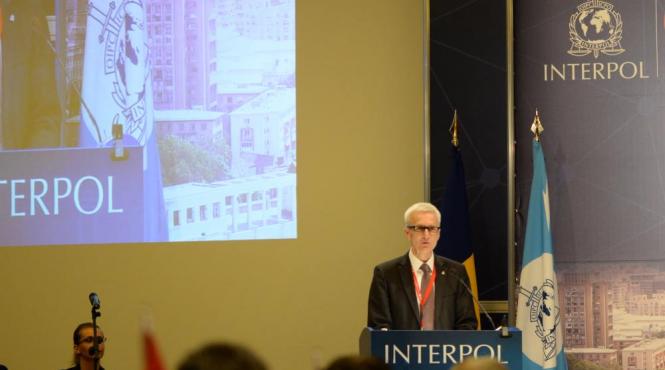 interpolul a venit in romania