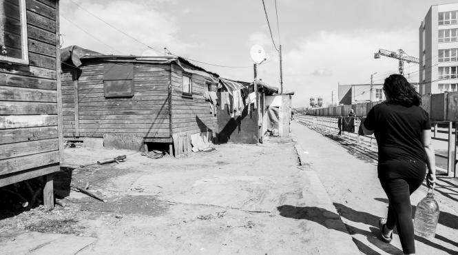 frati gemeni cu sobolanii in capitala europeana a tineretului