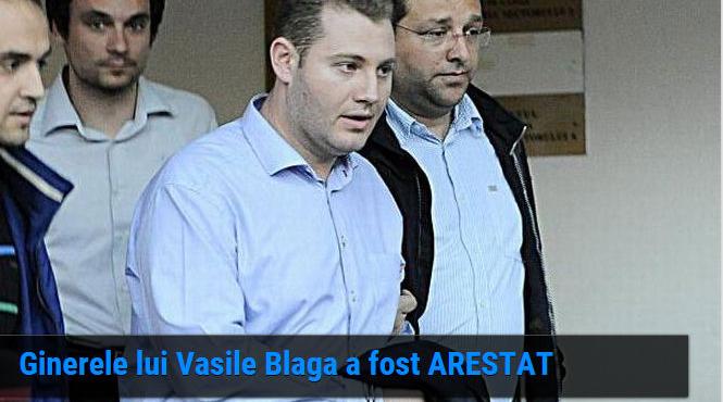ginerele lui vasile blaga a fost arestat andrei rudeanu poate contesta decizia
