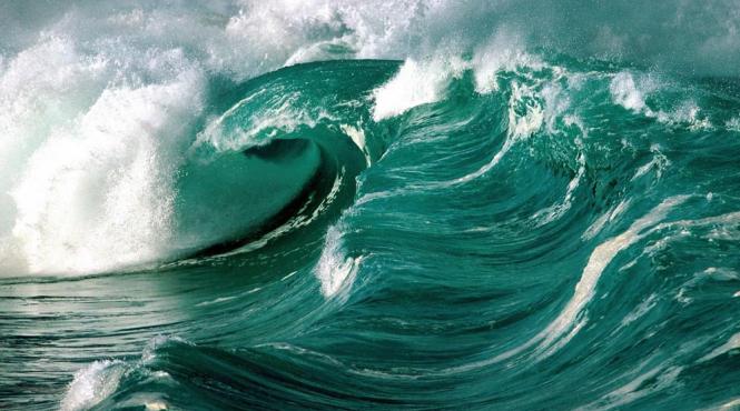 planctonul oceanic responsabil de producerea a jumatate din oxigenul planetar studiu