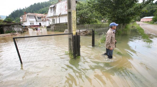 cod galben de inundatii