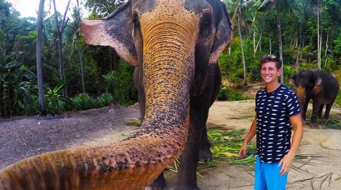 un elefant si a facut un elfie