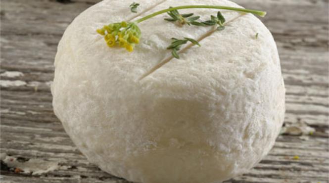 un aliment miraculos pentru sanatatea romanilor branza medicinala