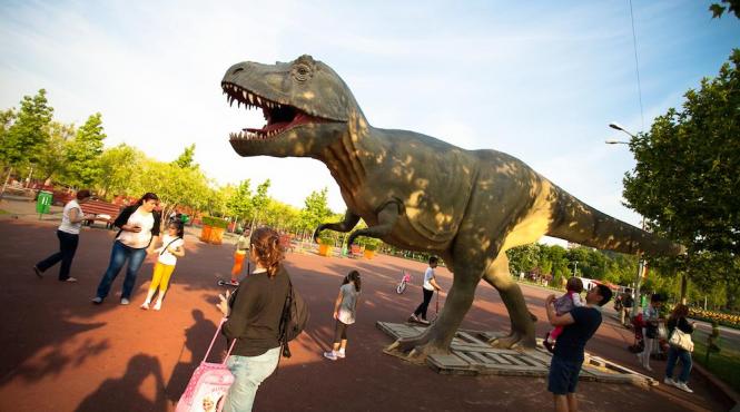 cat costa dinozaurii din rasnov