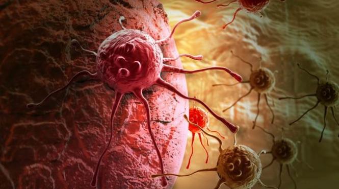 sfatul medicului cum ne ferim de infectia cu hpv