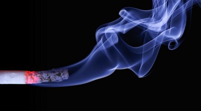 studiu fumul de tigara scade eficienta sistemului imunitar si intareste bacteriile