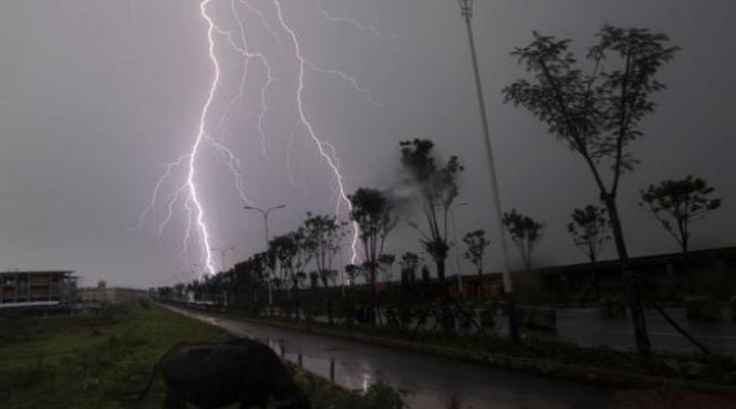 god galben in judetele hunedoara si suceava averse si descarcari electrice pana la 18 45