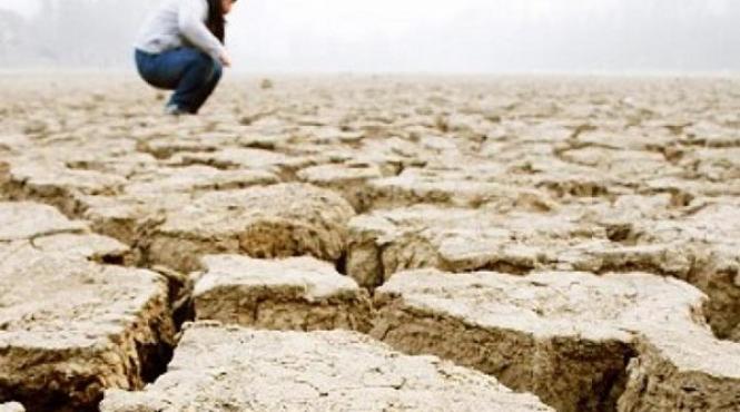 seceta pedologica va persista pe suprafete agricole extinse